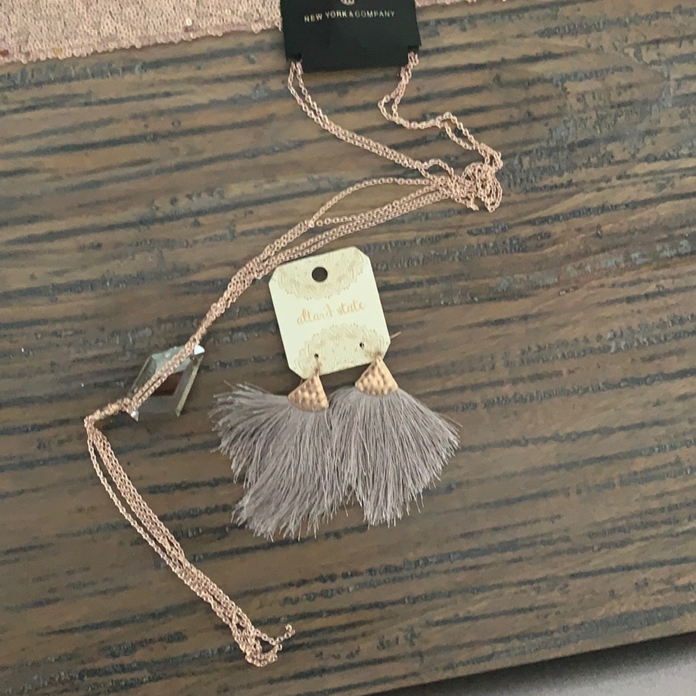 Trendy earring and long necklace